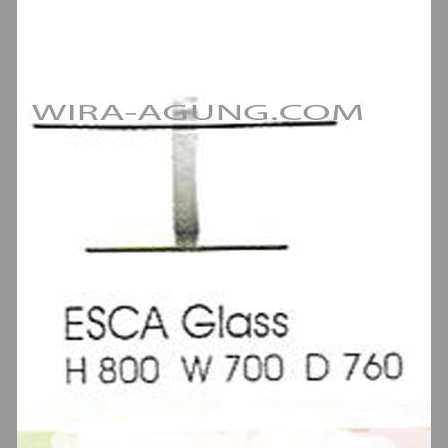 ESCA-GLASS.jpg